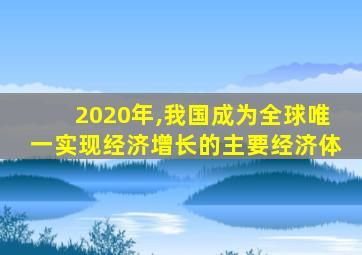 2020年,我国成为全球唯一实现经济增长的主要经济体