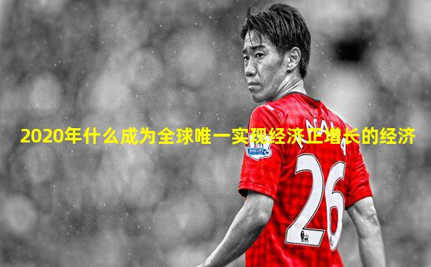2020年什么成为全球唯一实现经济正增长的经济