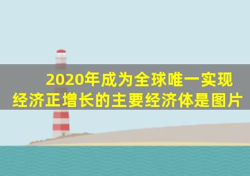 2020年成为全球唯一实现经济正增长的主要经济体是图片