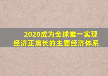 2020成为全球唯一实现经济正增长的主要经济体系