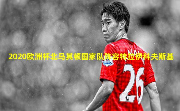 2020欧洲杯北马其顿国家队阵容特拉伊科夫斯基