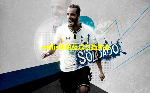 willis环的组成包括哪些