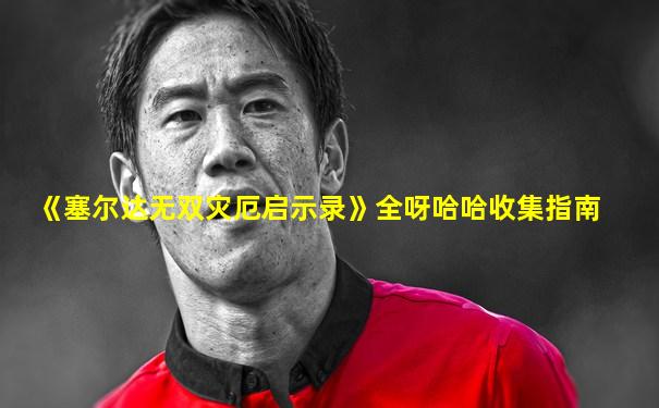 《塞尔达无双灾厄启示录》全呀哈哈收集指南