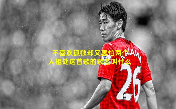 不喜欢孤独却又害怕两个人相处这首歌的歌名叫什么