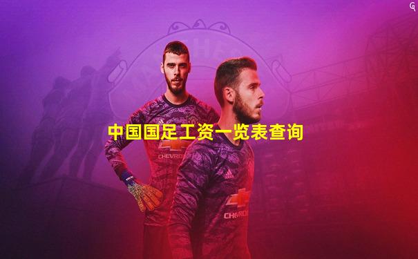 中国国足工资一览表查询