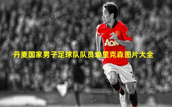 丹麦国家男子足球队队员埃里克森图片大全