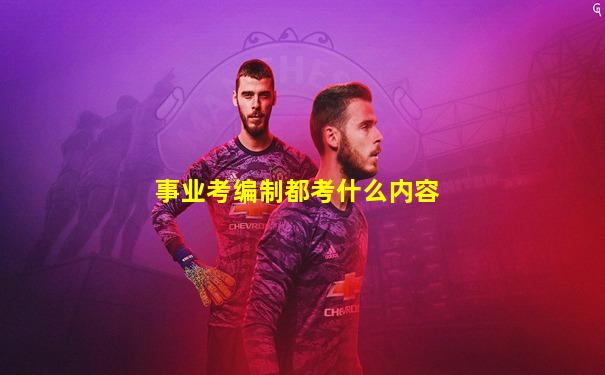 事业考编制都考什么内容