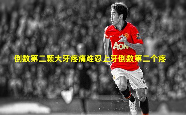 倒数第二颗大牙疼痛难忍上牙倒数第二个疼