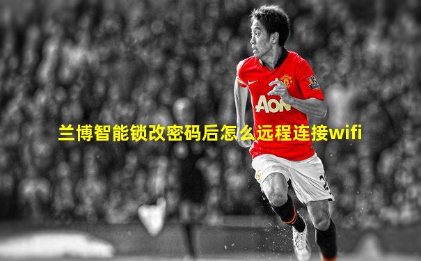 兰博智能锁改密码后怎么远程连接wifi