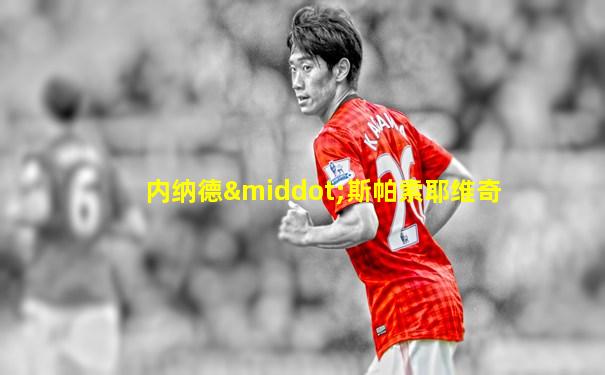 内纳德·斯帕索耶维奇