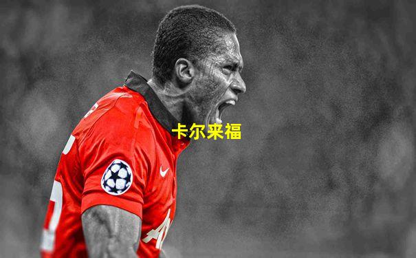 卡尔来福