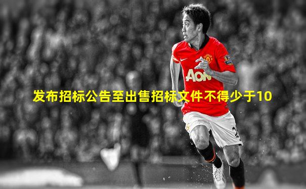 发布招标公告至出售招标文件不得少于10