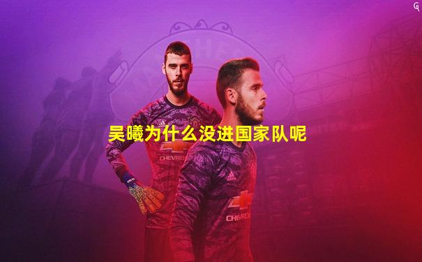 吴曦为什么没进国家队呢