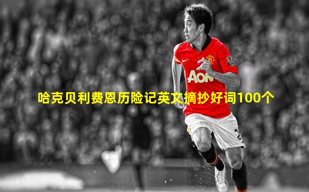 哈克贝利费恩历险记英文摘抄好词100个