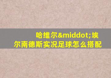 哈维尔·埃尔南德斯实况足球怎么搭配