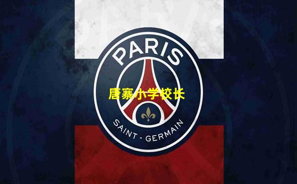 唐寨小学校长