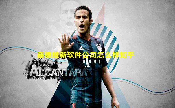 嘉德维新软件公司怎么样知乎