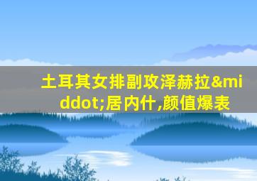 土耳其女排副攻泽赫拉·居内什,颜值爆表