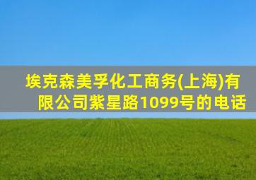 埃克森美孚化工商务(上海)有限公司紫星路1099号的电话