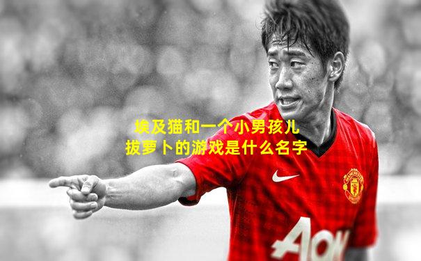 埃及猫和一个小男孩儿拔萝卜的游戏是什么名字