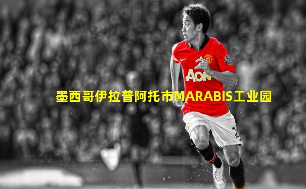 墨西哥伊拉普阿托市MARABIS工业园