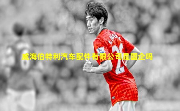 威海伯特利汽车配件有限公司是国企吗