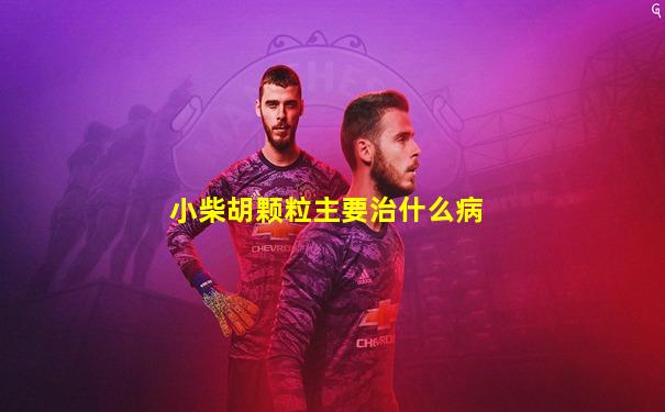 小柴胡颗粒主要治什么病