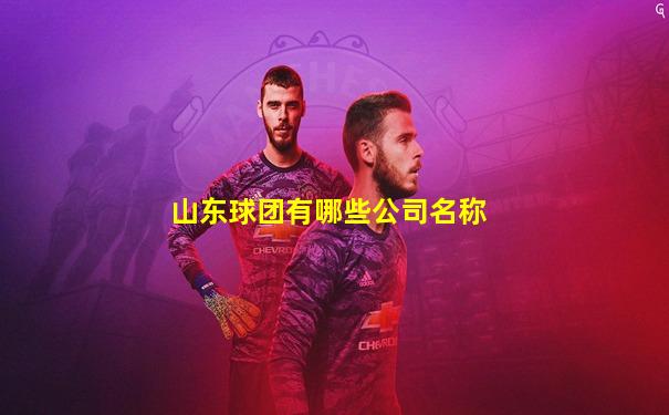 山东球团有哪些公司名称