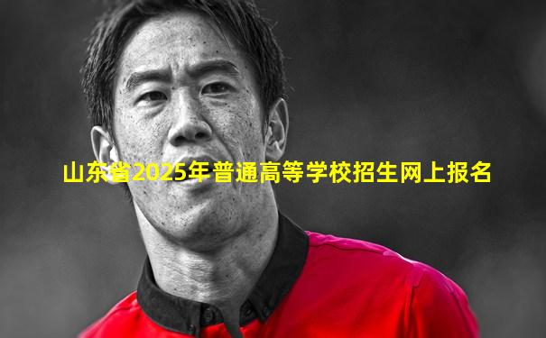 山东省2025年普通高等学校招生网上报名