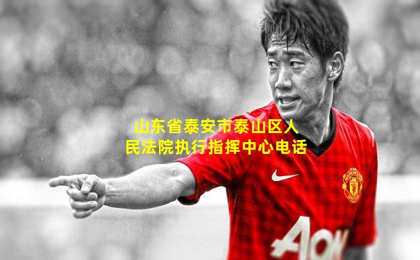 山东省泰安市泰山区人民法院执行指挥中心电话