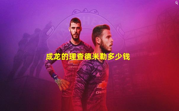 成龙的理查德米勒多少钱