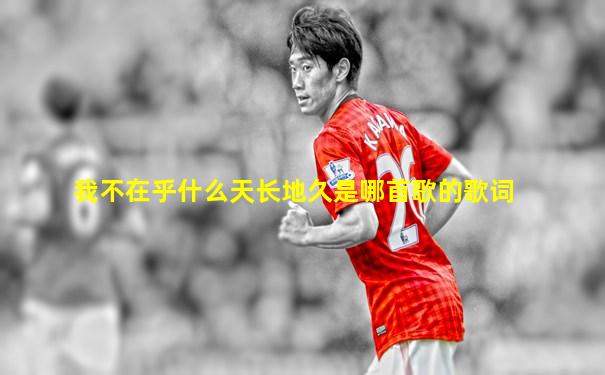 我不在乎什么天长地久是哪首歌的歌词