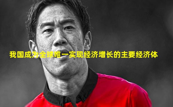 我国成为全球唯一实现经济增长的主要经济体
