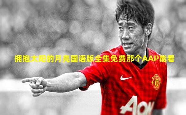 拥抱太阳的月亮国语版全集免费那个AAP能看