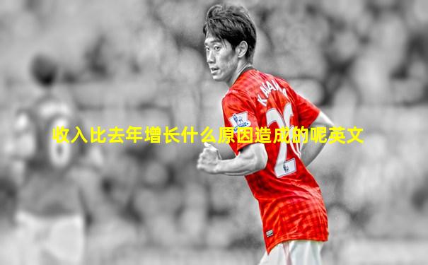 收入比去年增长什么原因造成的呢英文