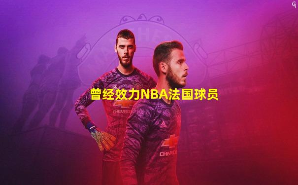 曾经效力NBA法国球员