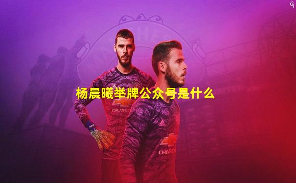 杨晨曦举牌公众号是什么