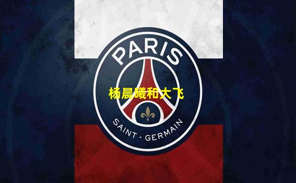 杨晨曦和大飞