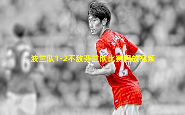 波兰队1-2不敌芬兰队比赛回放视频