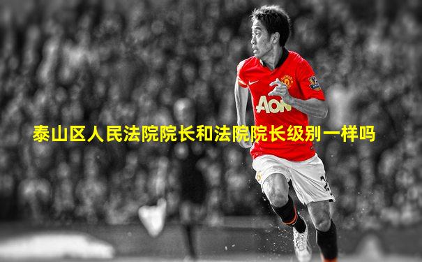 泰山区人民法院院长和法院院长级别一样吗