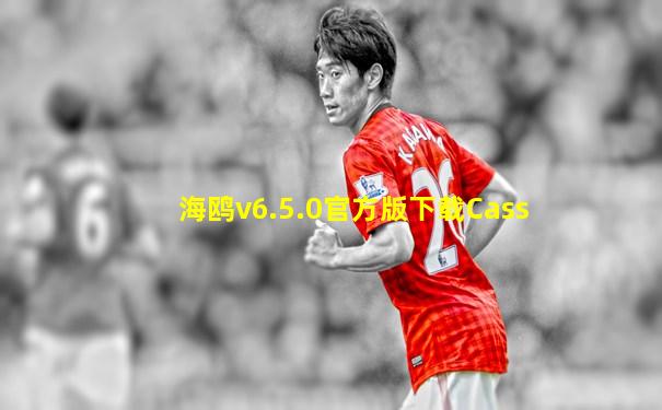 海鸥v6.5.0官方版下载Cass