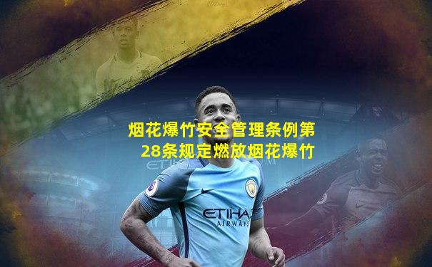 烟花爆竹安全管理条例第28条规定燃放烟花爆竹