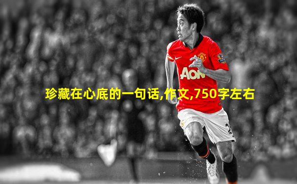 珍藏在心底的一句话,作文,750字左右