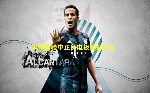 米勒实验中正负电极模拟什么