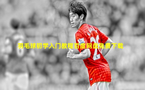 羽毛球初学入门教程百度网盘免费下载